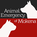 Animal Emergency of Mokena – Emergency Veterinary Care for Small Animals  And Exotics