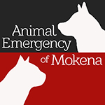 Animal Emergency of Mokena