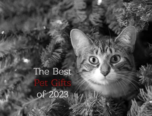 The Best Pet Gifts of 2023