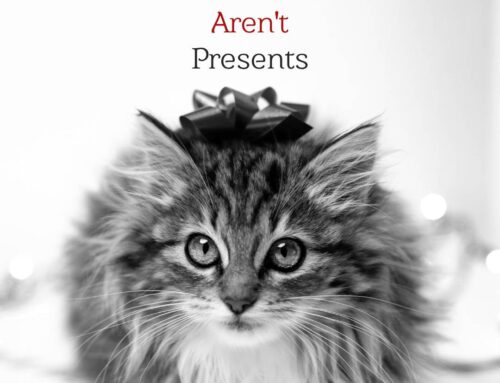 5 Reasons Pets Aren’t Presents