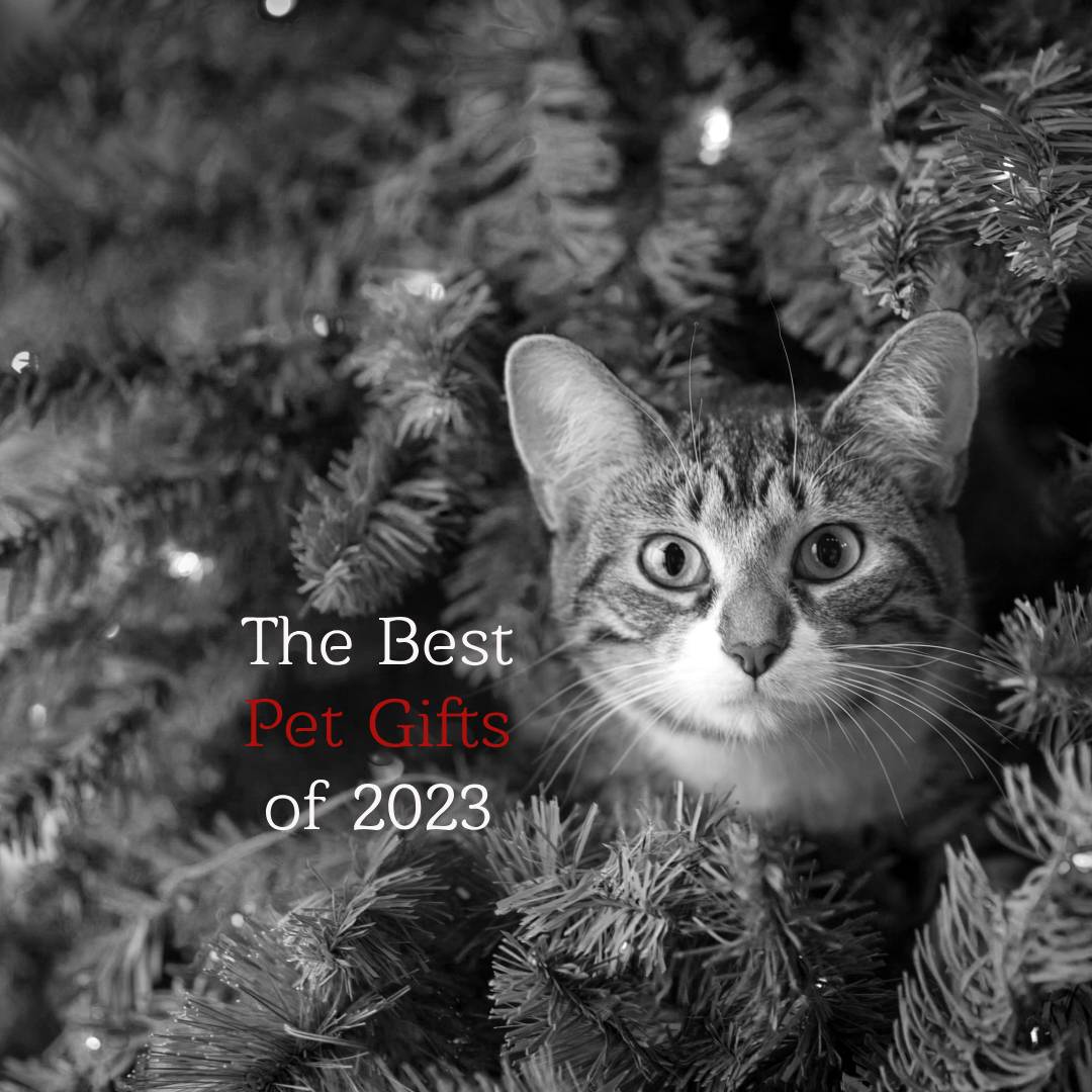 The Best Pet Gifts of 2023